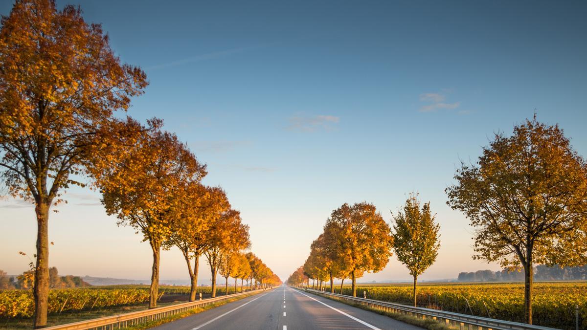 Las carreteras y autopistas deben jugar un papel clave para lograr los objetivos de reducción de emisiones.