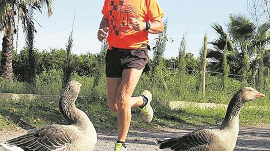 Burriana detecta caza furtiva de patos en el paraje del Clot