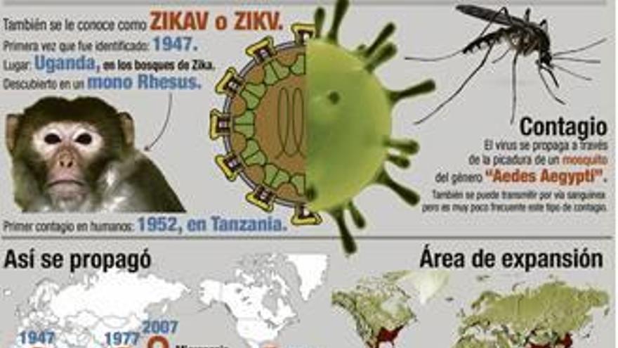 Sanidad aconseja a las embarazadas no viajar a zonas afectadas por zika