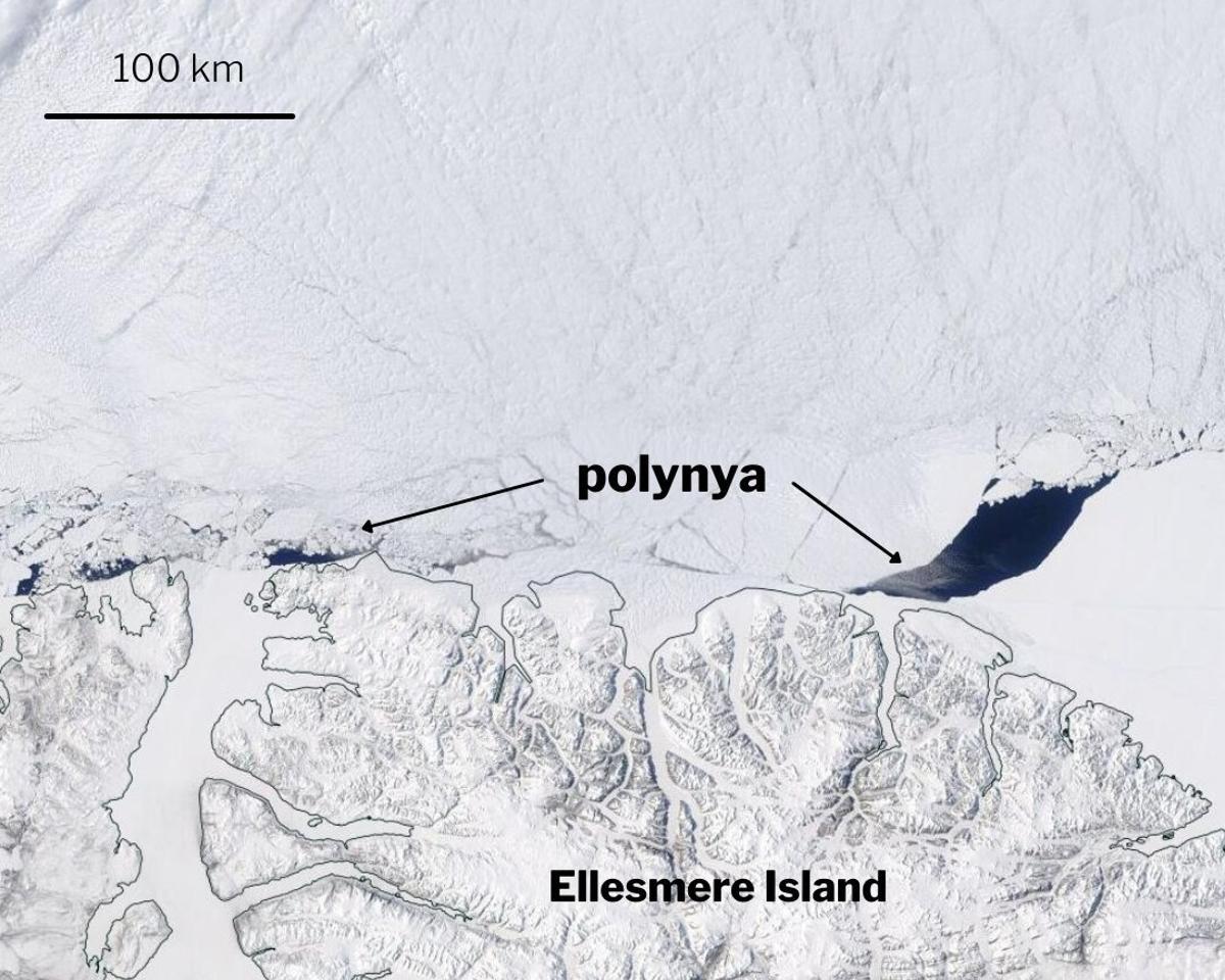 Aparece un agujero en el hielo Ártico casi tan grande como Mallorca