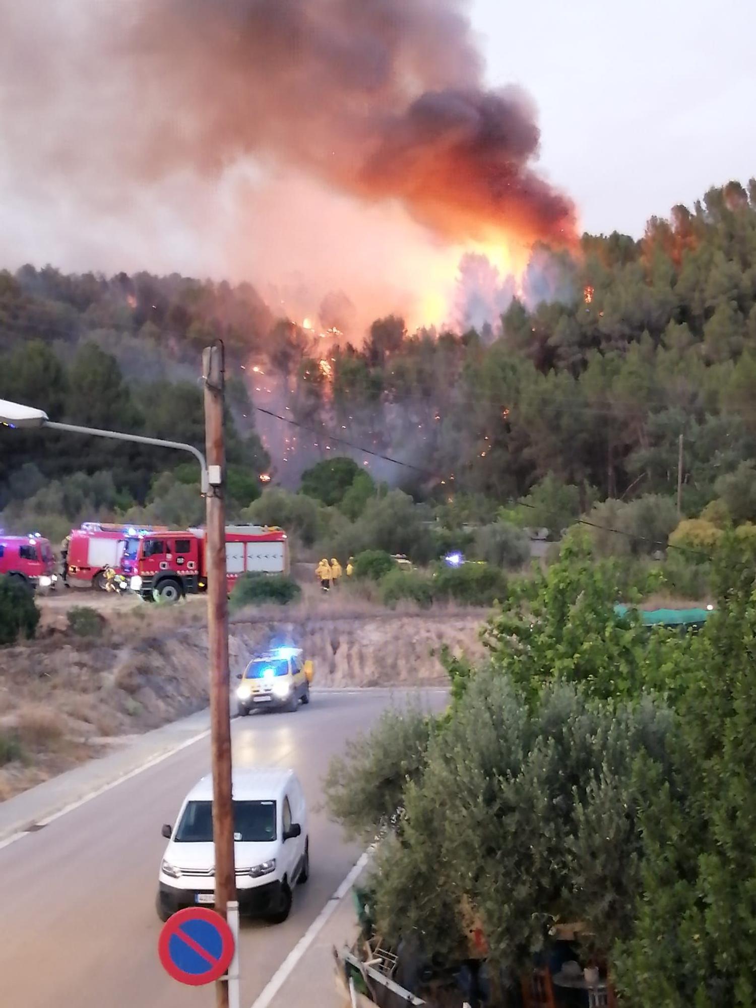 Incendi a Sant Vicenç de Castellet (12 de juliol)