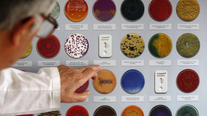 Un médico examina distintas cepas de bacterias.