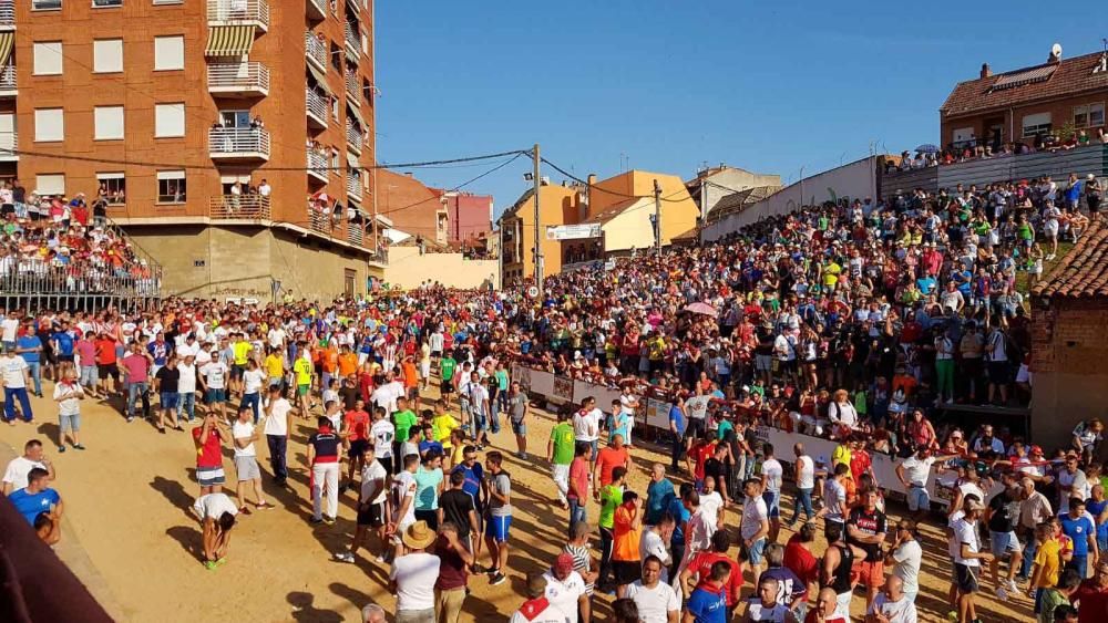 La carrera del Toro Enmaromado 2017 Razonador