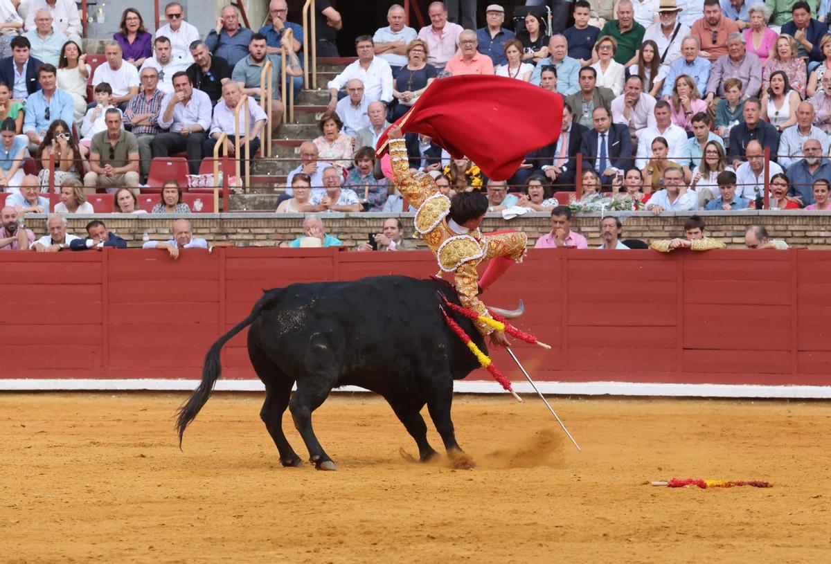 Fuentes Bocanegra es voltedo por su segundo novillo de la tarde en la plaza de Los Califas.