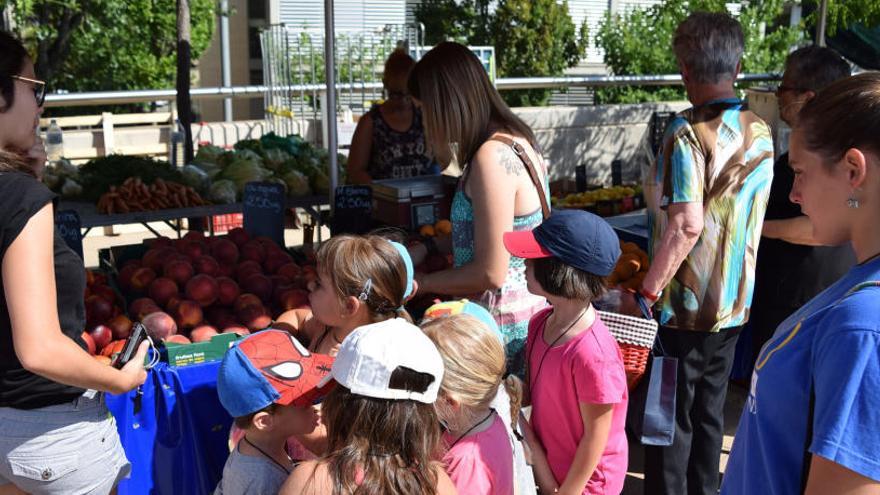 Monitors i nens al mercat durant el Campus Infantil de l&#039;any passat.