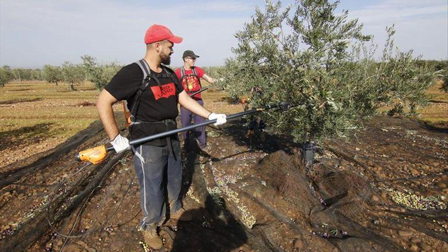 El sector agrario evitó un mayor derrumbe del PIB durante el año pasado.