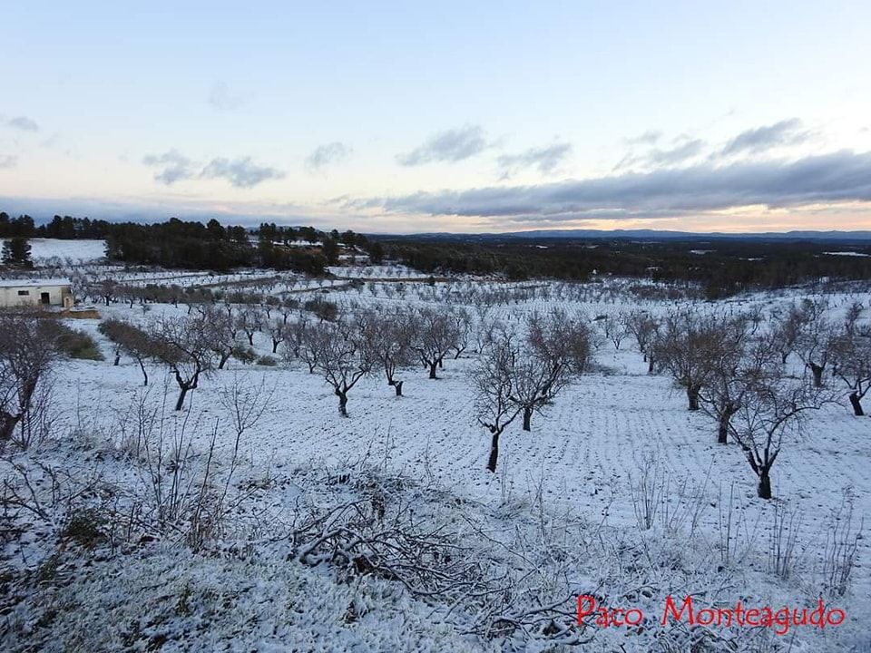 Casas de Moya, en Utiel-Requena