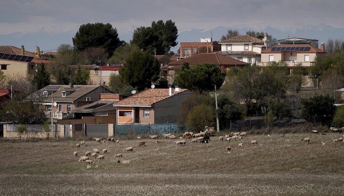 Varios chalés y casas en las urbanizaciones ilegales de Mejorada del Campo, Madrid.