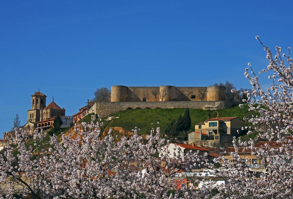 El Alcázar y la Colegiata de Toro