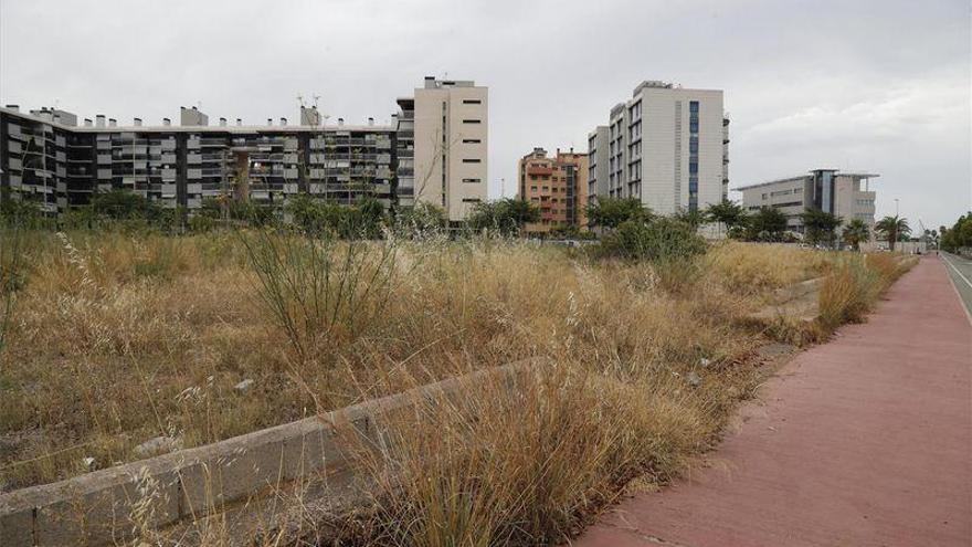 La limpieza de solares de Castelló, a golpe de ordenanza