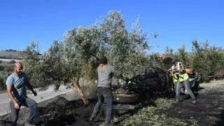 El aceite producido en Córdoba se queda un 12,77% por debajo de las previsiones