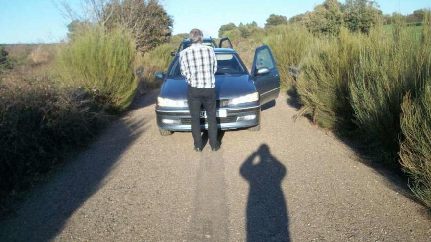 Camino de Ribas a San Vitero.