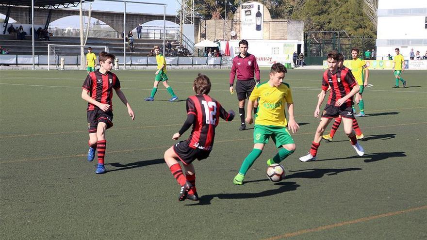 El Séneca cae al farolillo rojo y el Córdoba, paso a paso