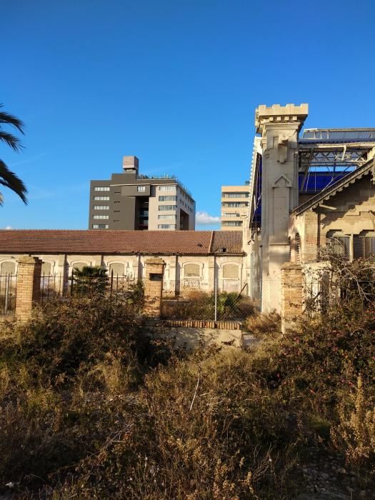 Abandono junto a Casa Mediterráneo en Alicante
