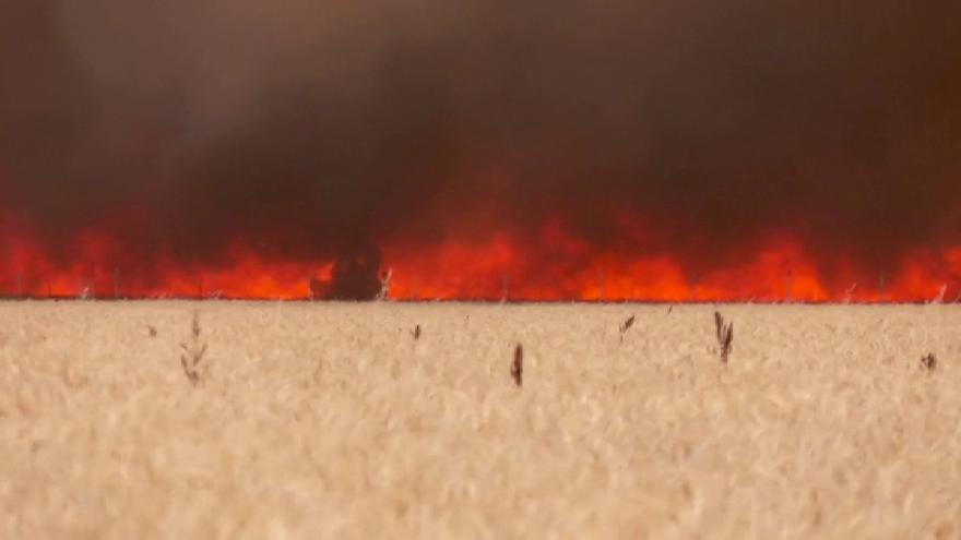 Atrapat per les flames mentre fugia de l'incendi de Zamora