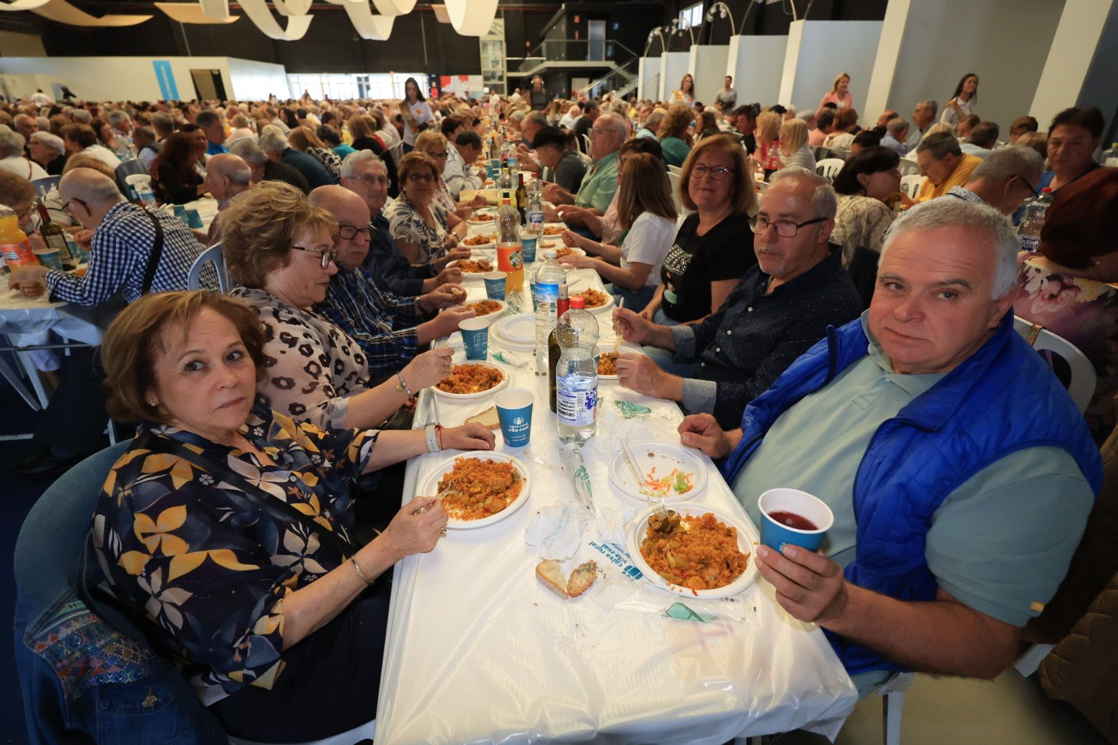FOTOGALERÍA I Las imágenes de la sexta jornada (miércoles) de las fiestas patronales de Sant Pasqual en Vila-real