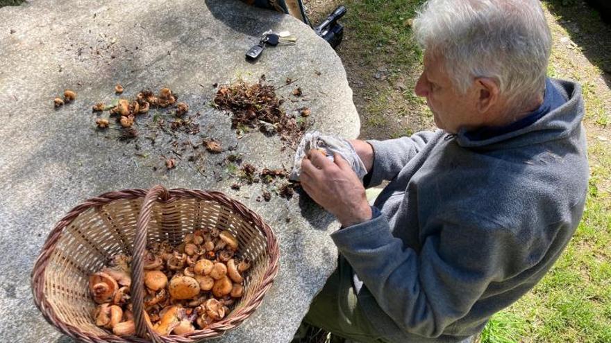 Un home netejant els bolets agafats a Campelles aquest mes de setembre. | ACN