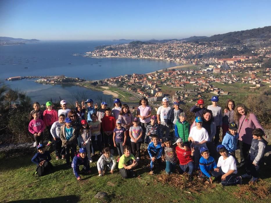 100 árboles para dar vida al monte de Meira