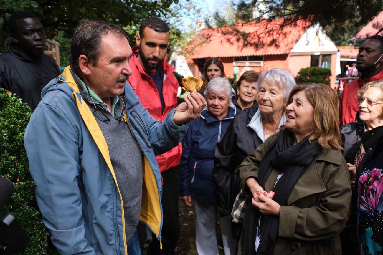 Ruta micológica intercultural