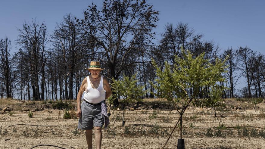 La fuerza de la tierra: un año después del gran incendio de Bejís