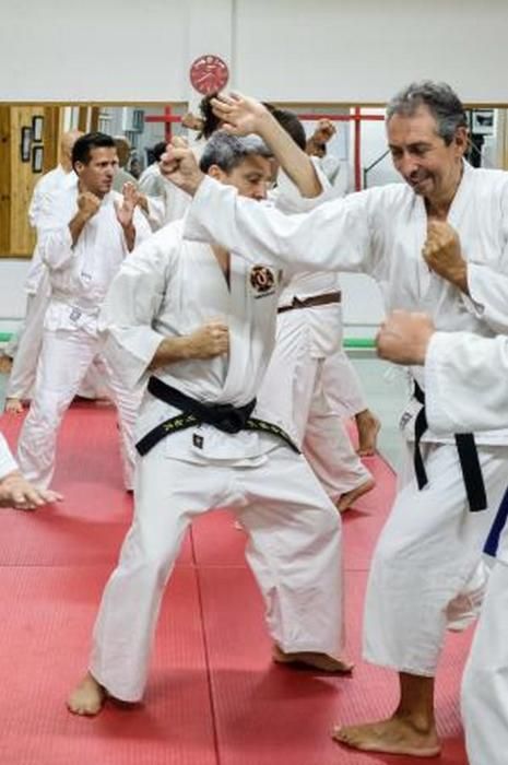 01-10-18. LAS PALMAS DE GRAN CANARIA. Reportaje de Shorinji Kempo, un arte marcial. FOTO: JOSÉ CARLOS GUERRA.  | 02/10/2018 | Fotógrafo: José Carlos Guerra