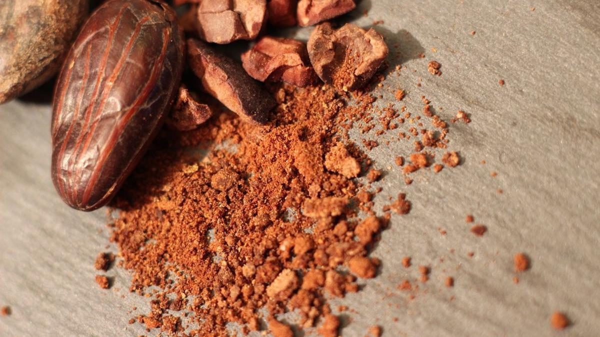 Comercio justo: la vida del cacao desde que se cultiva hasta tu mesa