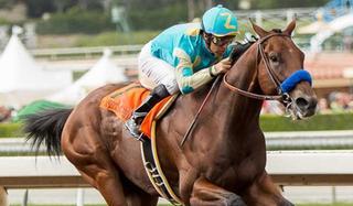 American Pharoah, el semental de los 35 millones de dólares al año