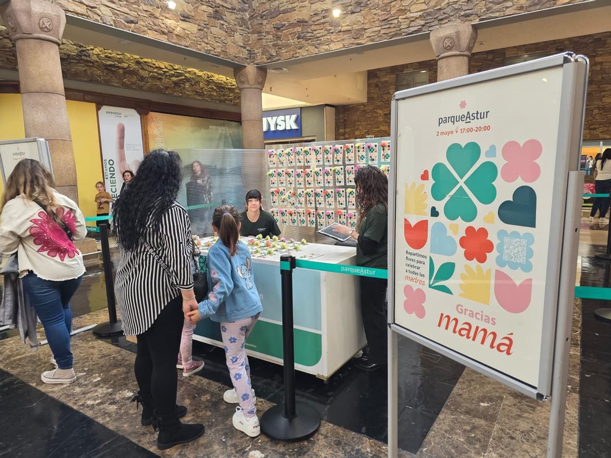 El puesto de claveles en el centro comercial ParqueAstur.