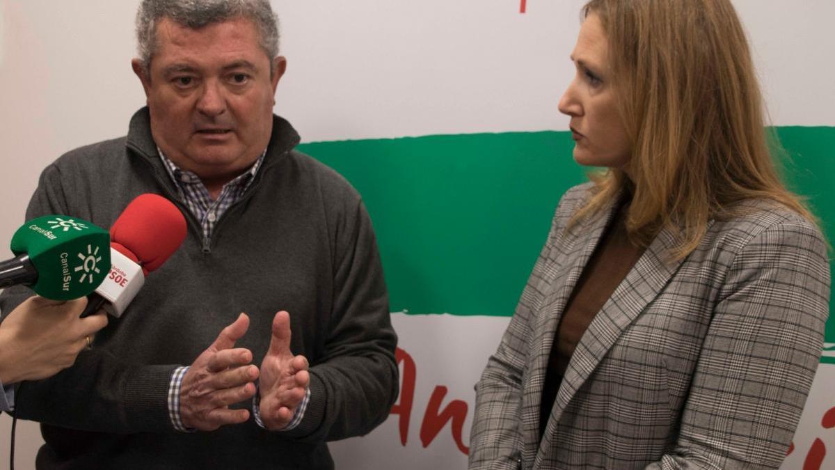 El PSOE plantará 8,6 millones de árboles en Andalucía si gana el 2-D