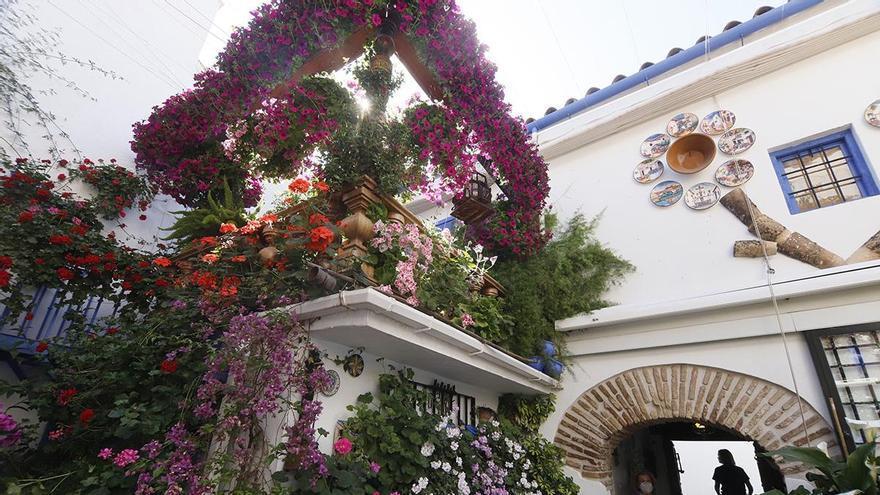 Concurso Municipal de Patios de Córdoba 2025: 52 recintos compiten en cuatro categorías