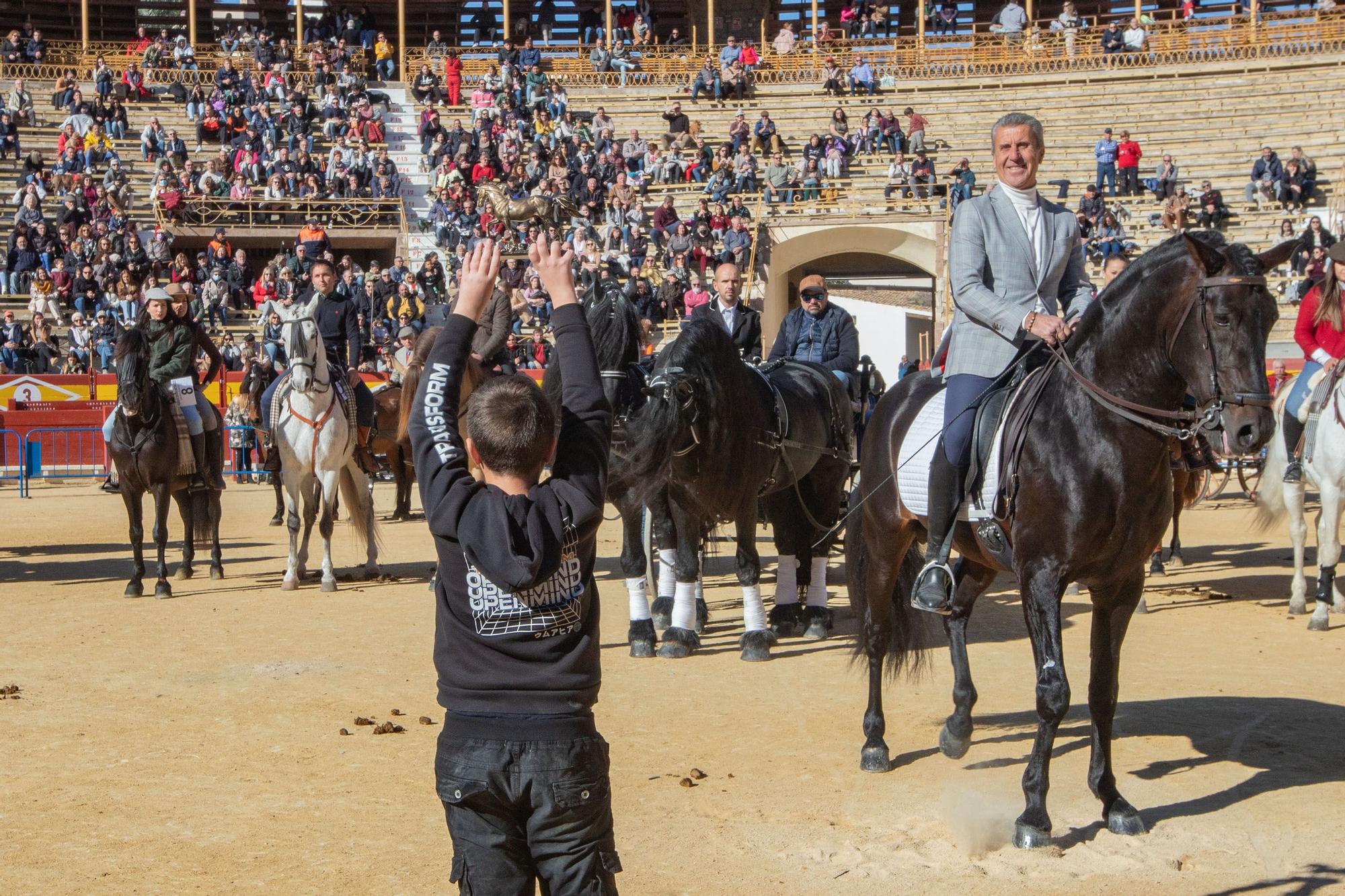 Concurso ecuestre y Bendición de animales por San Antón en Alicante