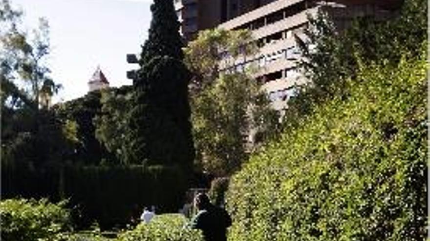 Interior del jardín histórico de Monforte.