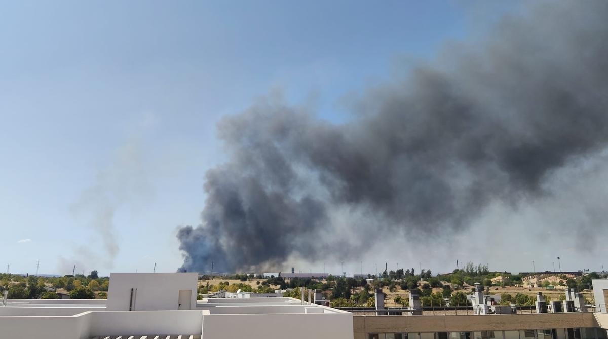 Columna de humo generada por el incendio