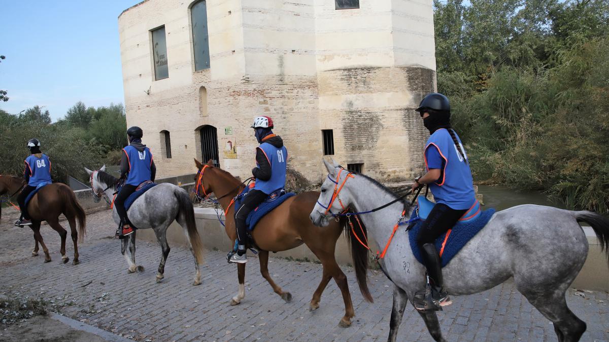 Primer Raid Córdoba para caballos árabes