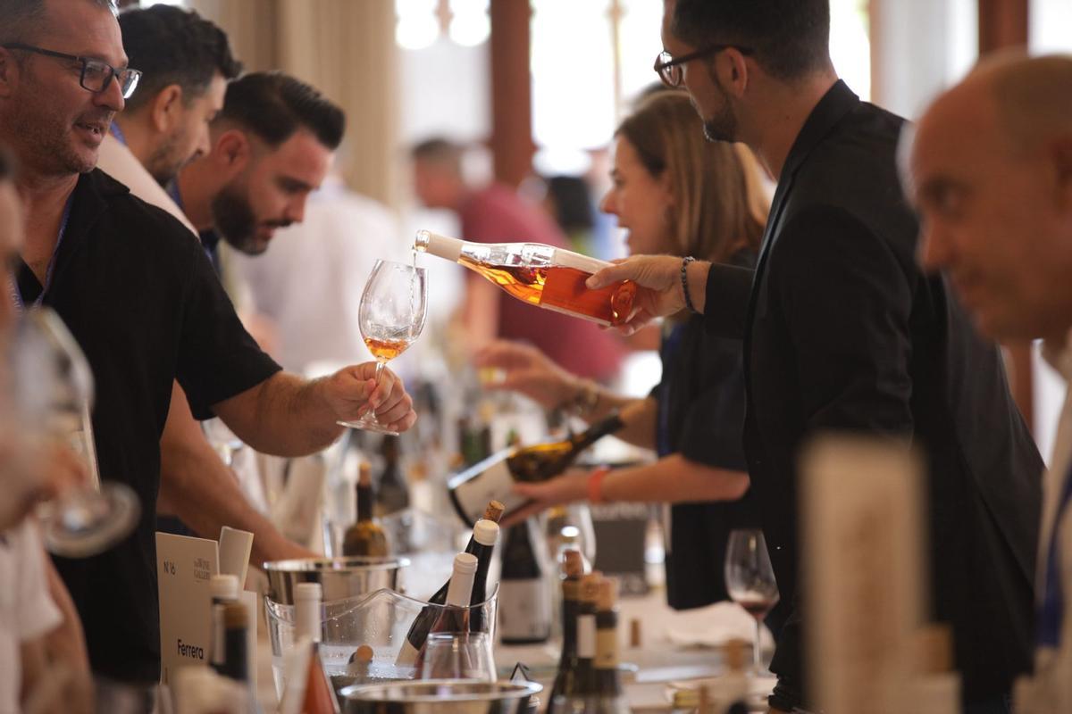 Catas en The Wine Gallery.