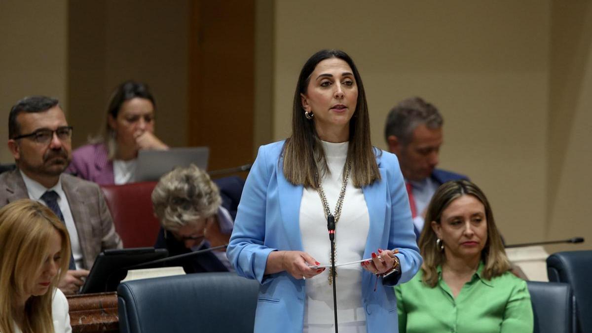 Sara Rubira, este viernes en la Asamblea Regional.