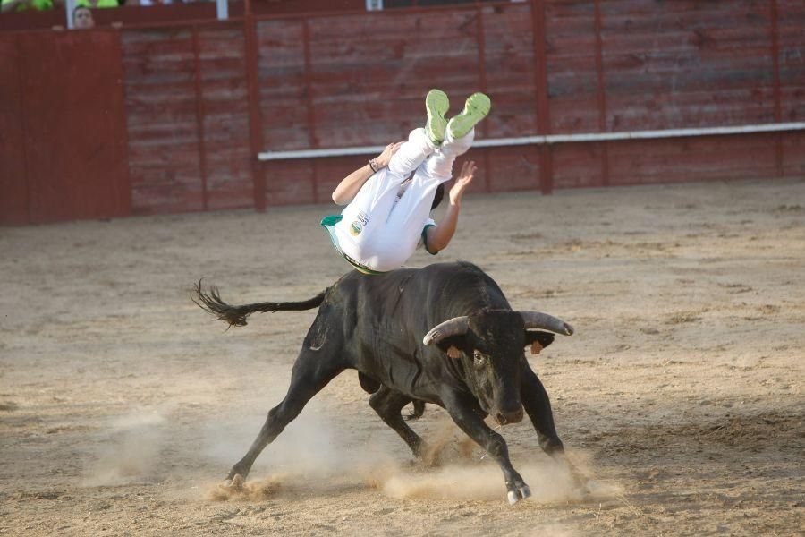 Fiestas en Zamora: Recortes en Villalpando