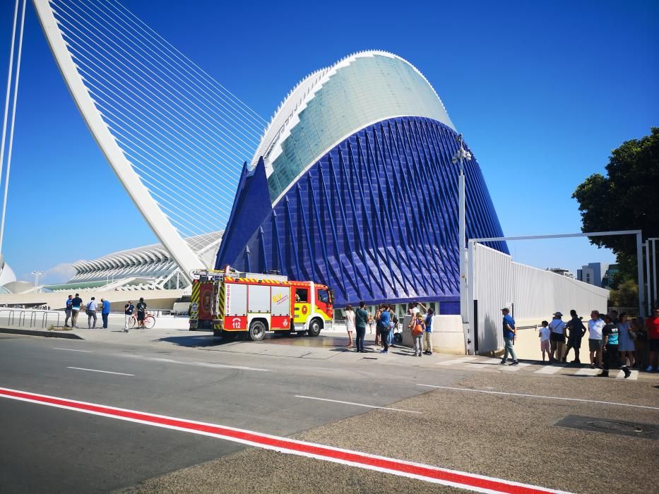 Incendio en l'Oceanogràfic de València