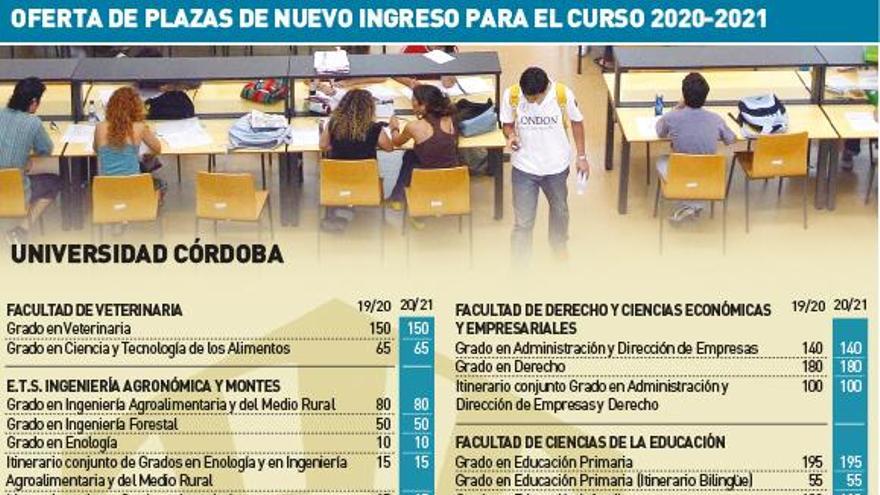 Ya están las notas de la selectividad en Córdoba: ¿Tienes decidida la carrera?