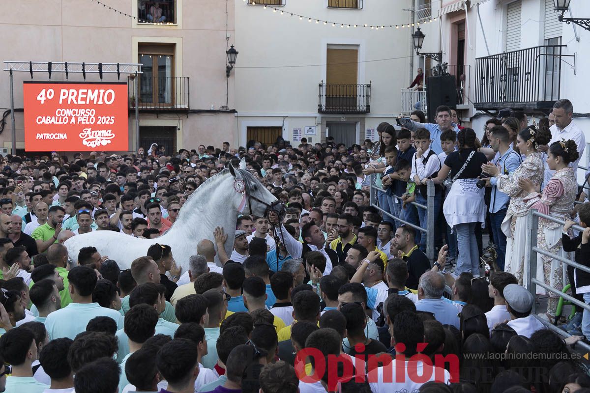 Fiestas de Caravaca | Entrega de premios del concurso morfológico