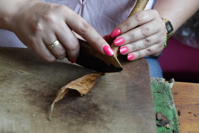 27-08-20  LAS PALMAS DE GRAN CANARIA. SCHAMANN. LAS PALMAS DE GRAN CANARIA.  Reportaje al único taller de puros artesanos que hay en la capital. El taller se llama Doble M y lo lleva Mercedes Martínez, ella es cubana y trae las hojas de tabaco desde la isla caribeña, todo lo hace a mano.  Fotos: Juan Castro.  | 27/08/2020 | Fotógrafo: Juan Carlos Castro