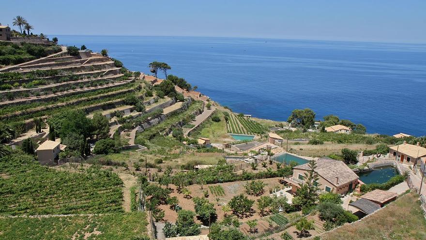 Wetterausblick für Banyalbufar: 7-Tage-Vorhersage auf Mallorca (19.5.2024)