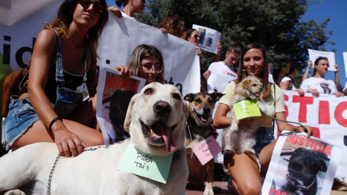 Casi un centenar de personas protestan por la muerte de Tai, una perra abatida por la Policía Local