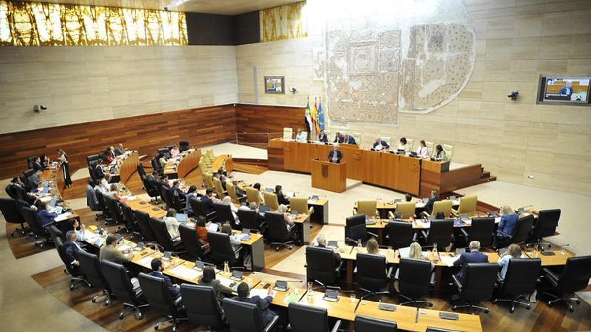 Vista panorámica del hemiciclo de la Asamblea durante la celebración del pleno.