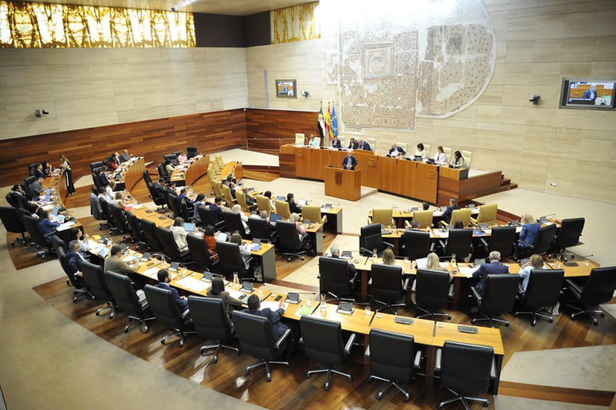 Vista panorámica del hemiciclo de la Asamblea durante la celebración del pleno.