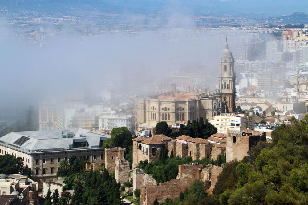 El taró cubre Málaga