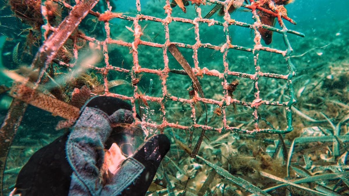 Els bussos marins han tret 300 kg de brossa del fons marí