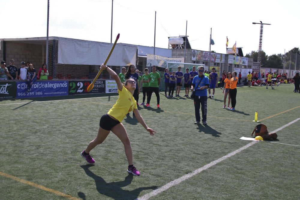 Más de 1.300 estudiantes de las comarcas de la Vega Baja y el Baix Vinalopó participan en la X edición de las Olimpiadas Clásicas.