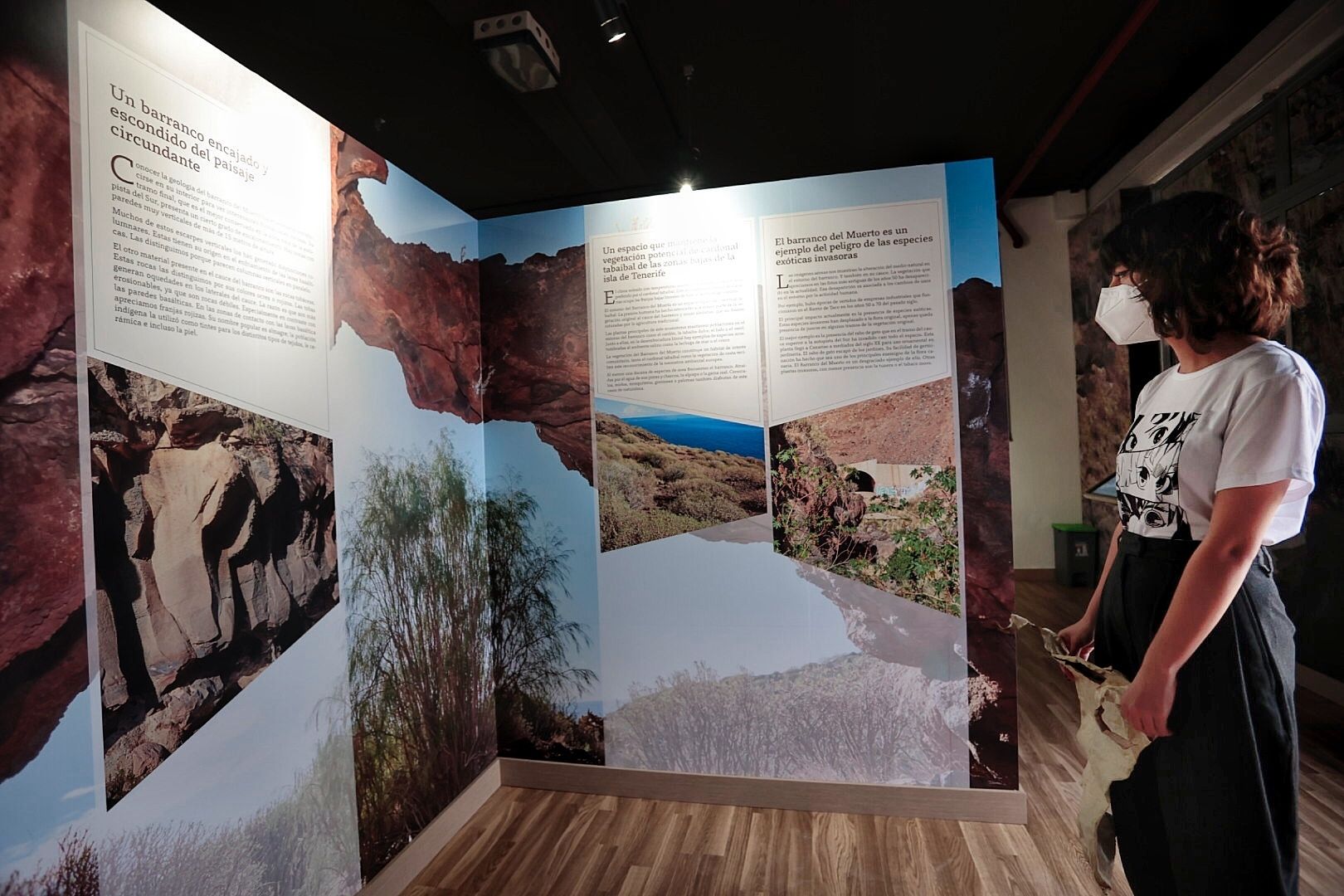 Reportaje sobre el proyecto Montaña de T, del IES San Matías