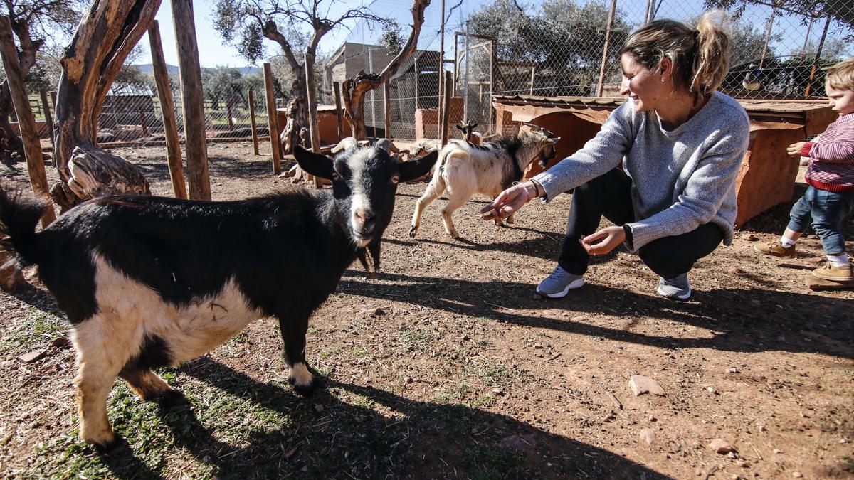 En la granja  junto a los animales.